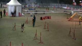 Cayenne Agility 1 Voghera 050109