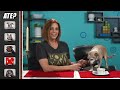 Dogs Try Not To Eat Challenge (React)