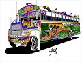 buses panama