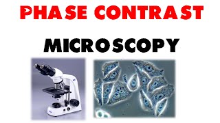 Phase contrast microscopy