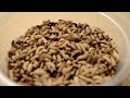 Black Soldier Fly (BSF) Larvae Vs. A Banana