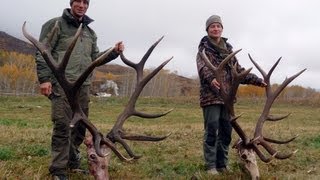 Медальоны для рогов своими руками Медальоны для рогов своими руками