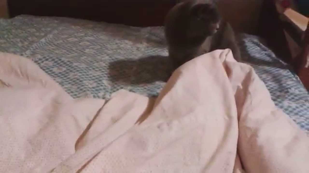 Видео Как Бабы Дрочат Под Одеялом Подушкой