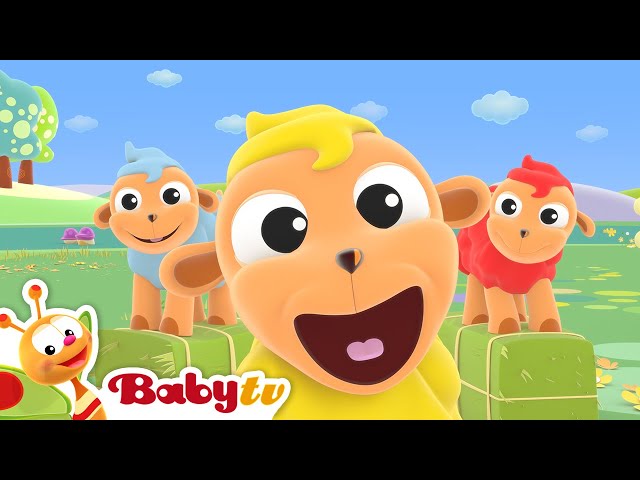 Watch BabyTV - Baa Baa Black sheep 🐑 (Remastered with Lyrics) | Nursery  Rhymes & Songs for Kids | @BabyTV Online Free - FREECABLE TV