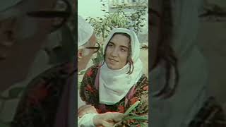 Şimdi Ben Köyde Olsaydım, Otların İçinde Yerdim Yemeğimi - Bir Küçük Bulut