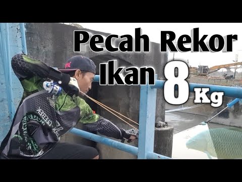 KETAPEL IKAN || PECAH REKOR IKAN 8Kg PAKEK KETAPEL || SLINGSHOT FISHING