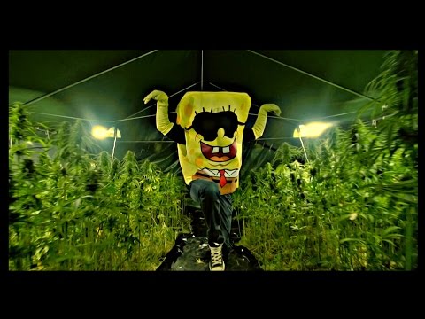 >(JBB-EXCLUSIVE)< SpongeBOZZ - Planktonweed >Planktonweed Tape 17.04.2015< Prod. By Digital Drama