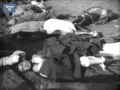 Video +18 "Злодеяния германских фашистов в России, 1941 - 1945" кинохроника преступлений европейцев