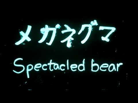 [HD]ナイトズーラシア2010：100828-20：メガネグマ（Spectacled Bear）
