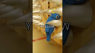 Find Out What Level 0 Is Like In The Backrooms?