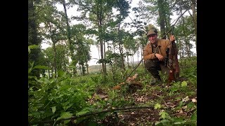 Jagd auf Rehwild im Mai / hunting roedeer in may - Junge Jagd