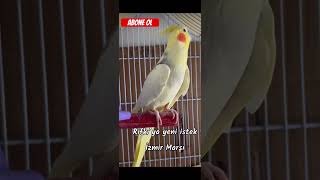 Rıfkı İzmir Marşı Söylüyor