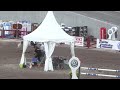 Zwiggy 145 SM kval2 Falun