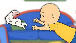 Tavşanı yakala! | Caillou Türkçe - WildBrain