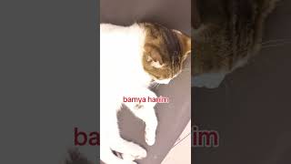 Bamya Hanim