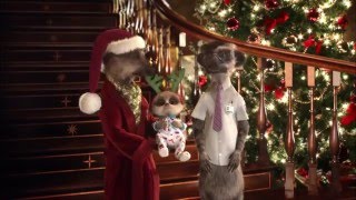 Compare The Meerkat - Christmas Video Message From Baby Oleg, Aleksandr & Sergei