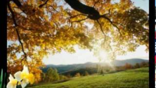Watch Celine Dion All Because Of You video