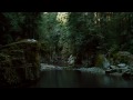 The Twilight Saga: Eclipse "Legend" TV Spot