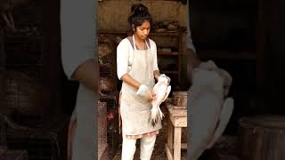 Village Lady Slaughter Chicken