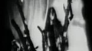 Watch Scatterbrain Fine Line video