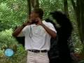 brazilian hidden camera on zoo