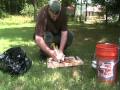 How to process chickens