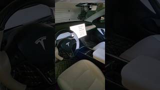 Tesla Dog Mode.