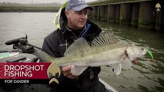 Dropshot Fishing For Zander - Westin-Fishing
