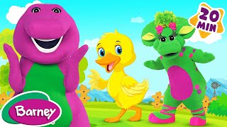 Watch Barney The Duckies Do video