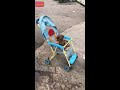 Video hài động vật hay nhất thế giới | Yêu Hài Hước