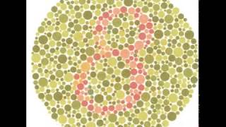 Test for Colour Blindness Test for Colour Blindness