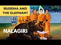 How Buddha Subdued the Elephant Nalagiri with his Loving Kindness : Buddha Story