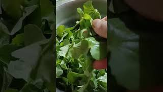 Asiatica Benefits Of Skin, Liver &Brain