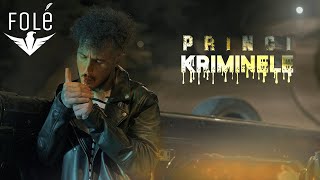 Princ1 - Kriminele