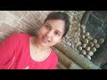 view Daily Routine