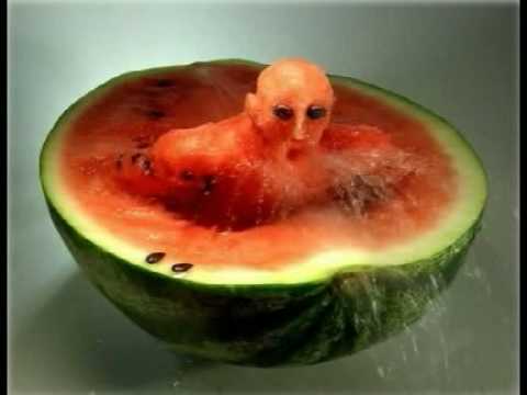 FUNNY FRUITS VEGGIES You Don't Want To Eat....NOT THE EVIL TWIN...NEVER!!!!!
