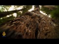 Fault Lines - The high and the mighty