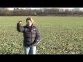How to measure GAI - Clare Tucker from BASF