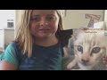 TRY TO WATCH THESE ANIMALS WITHOUT LAUGHING - Funny animals vs water compilation