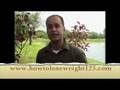 Benefits of Green Tea default Benefits of Green Tea