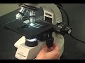 microscope