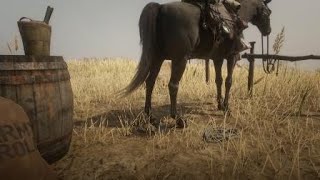 Red Dead Redemption 2 - Tom Pooping For Jess