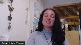 Power Animal Readings 28th Sep 2021 plus more...