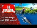 The Challenge 11-12-2023