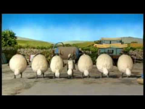 shaun the sheep and his flock