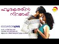 Hridayathin Niramaai | 100 Days Of Love | Vijay Yesudas | Mrudula Warrier | Govind Menon