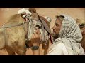 Trapped in a sand bowl - Ben and James Versus the Arabian Desert: Preview - BBC Two