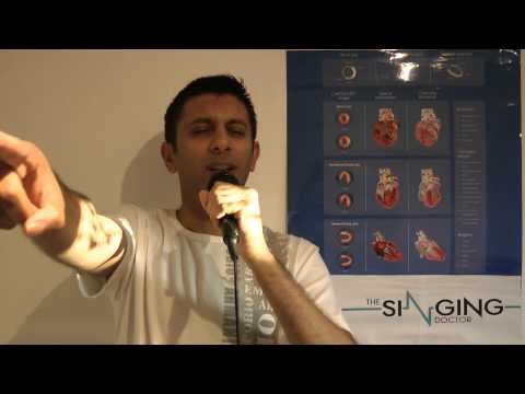 Jane Kyun Log live from Sydney (Dil Chahta Hai) - Singing Dr...