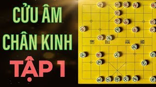 Top 10+ cách đánh cờ tướng hiệu quả chi tiết nhất