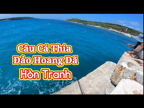CÂU CÁ THIA XANH ĐẢO LẺ HÒN TRANH| ĐẢO PHÚ QUÝ| DBVN
